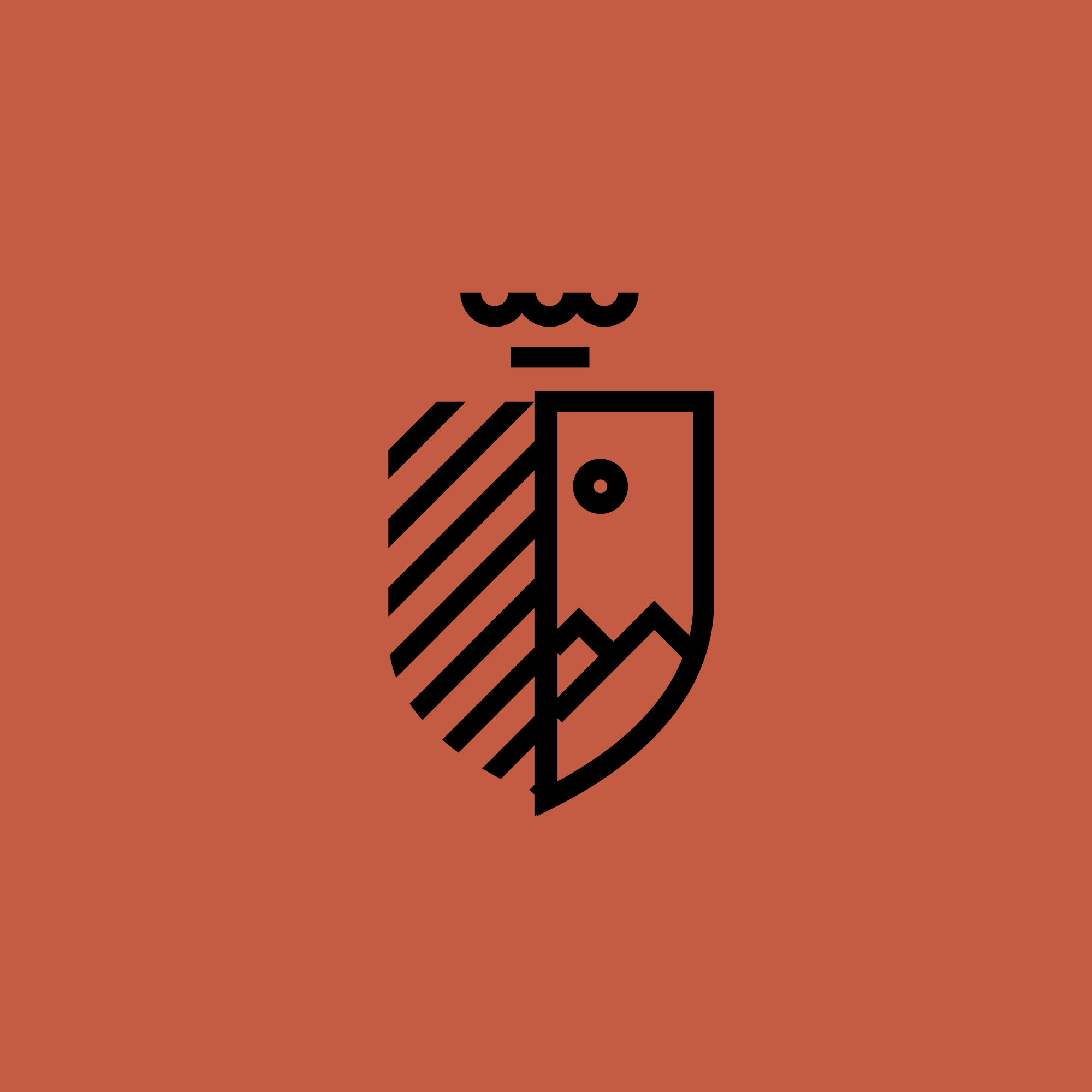 Black graphic logo on terracotta background